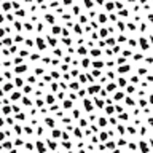 Meet your Posher, Ava